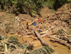 Tragedi Memilukan: 20 Jiwa Melayang Akibat Banjir Bandang dan Tanah Longsor di Sumut