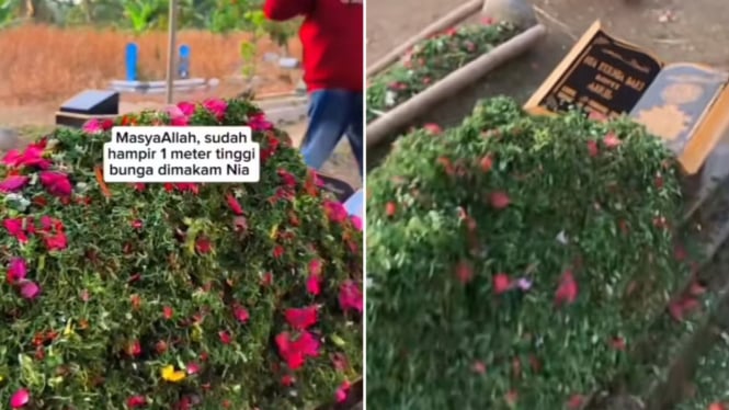 "Kejanggalan Viral Makam Nia Kurnia Sari: Tumpukan Bunga dan Daun Pandan Menimbulkan Keraguan Netizen"