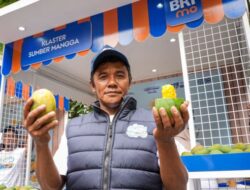 Berkat BRI, Petani Mangga Bondowoso Berhasil Meningkatkan Kualitas Hidup dengan Perluasan Lahan