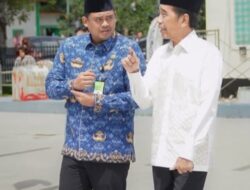 Kontroversi Partai Cokelat dalam Pilgub Sumut 2024, Tanggapan Jokowi