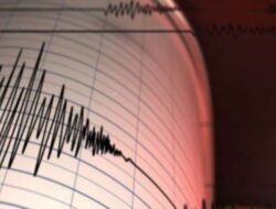 Guncangan Gempa di Sukabumi dan Konawe Selatan