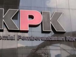 Sekjen PDIP Hasto Kristianto Tersangka KPK, Kris Tjantra: Larang Politisasi