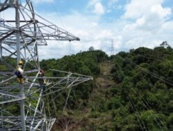 Menjauhi Pertikaian, PLN Selenggarakan Sertifikasi Ratusan Aset Tapak Tower di Wilayah KLT