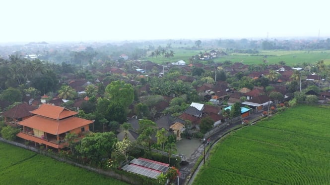 Menjelajahi Keindahan Desa Batuan Sukawati, BRILiaN: Pesona Alam dan Budaya yang Tak Tergantikan