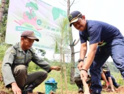 Perhutani Menanam 24,4 Juta Pohon di Lahan Seluas 26 Ribu Hektar