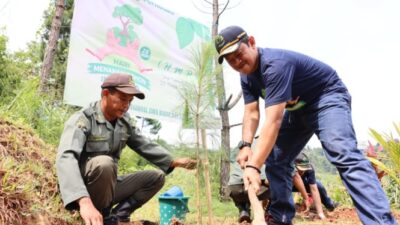 Perhutani Menanam 24,4 Juta Pohon di Lahan Seluas 26 Ribu Hektar