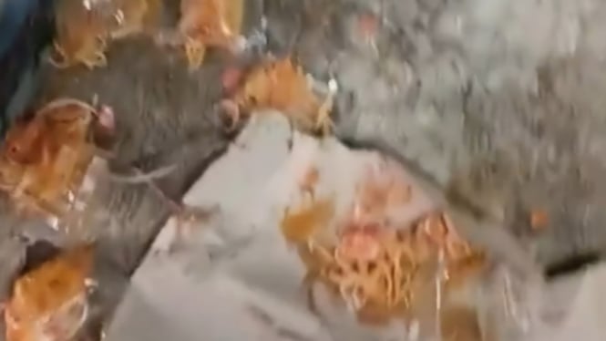 Video Viral Ibu Kantin Membuang Makanan Siswi MTs Nurul Huda Brebes