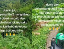 Kisah Misterius Penumpang Hilang di Hutan dari Sudut Pandang Driver Ojol